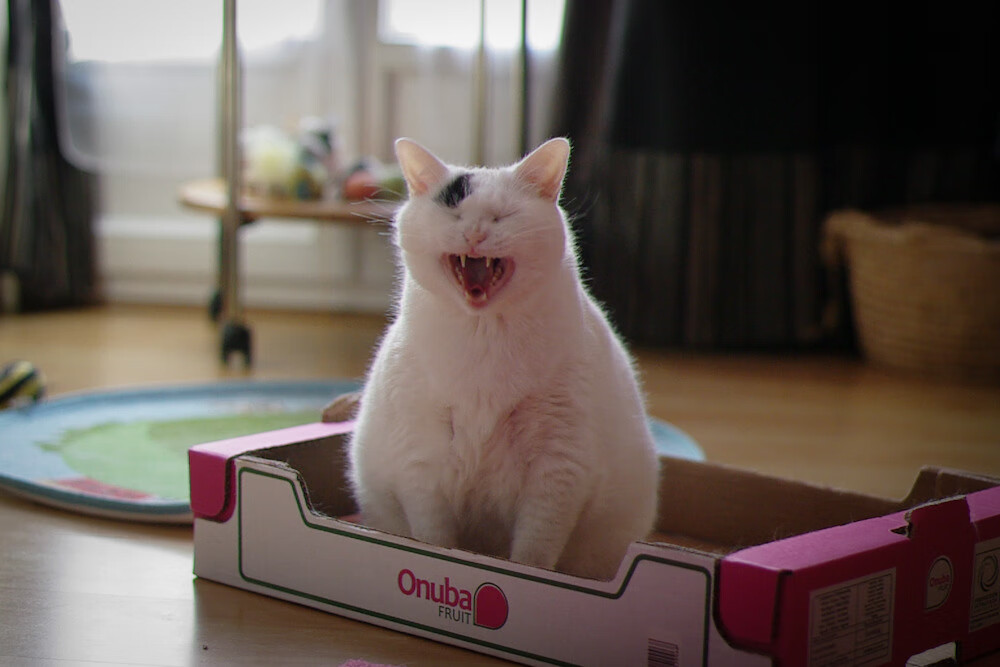 德国男子公路赛选手在比赛中获得第十名,德国男子公路赛选手在比赛中获得第十名是谁