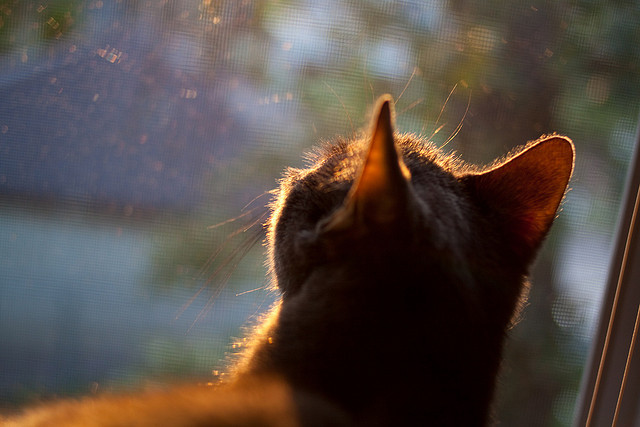 爱游戏中国官方网站平台-“青少年足球技能竞赛创新形式受欢迎，互动性强”，青少年足球比赛方案